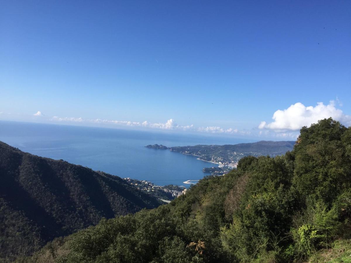 Hotel Montallegro Ραπάλο Εξωτερικό φωτογραφία