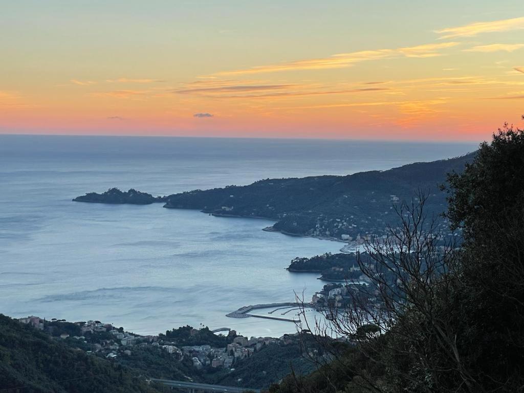Hotel Montallegro Ραπάλο Εξωτερικό φωτογραφία