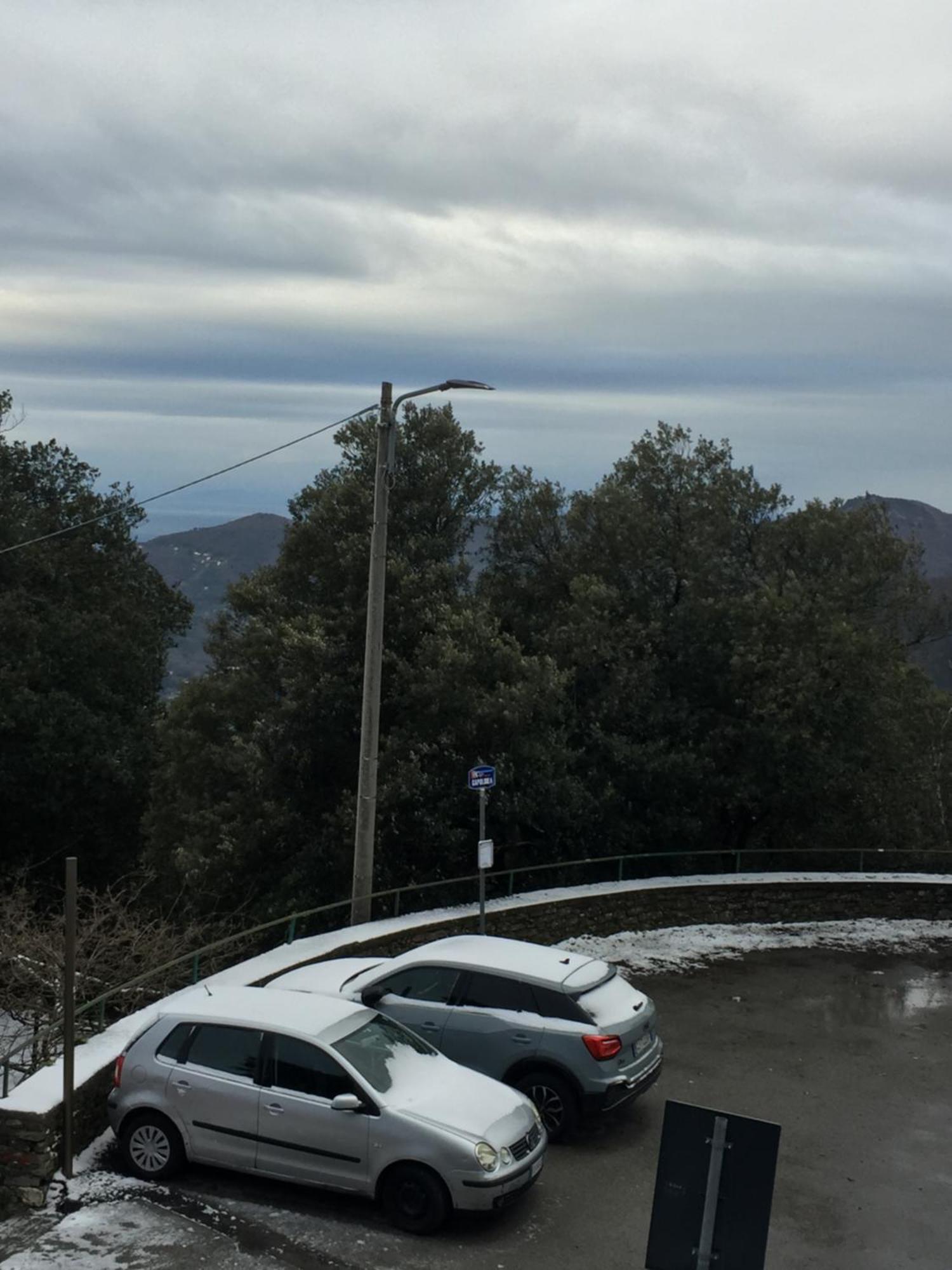 Hotel Montallegro Ραπάλο Εξωτερικό φωτογραφία