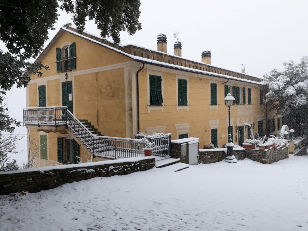 Hotel Montallegro Ραπάλο Εξωτερικό φωτογραφία