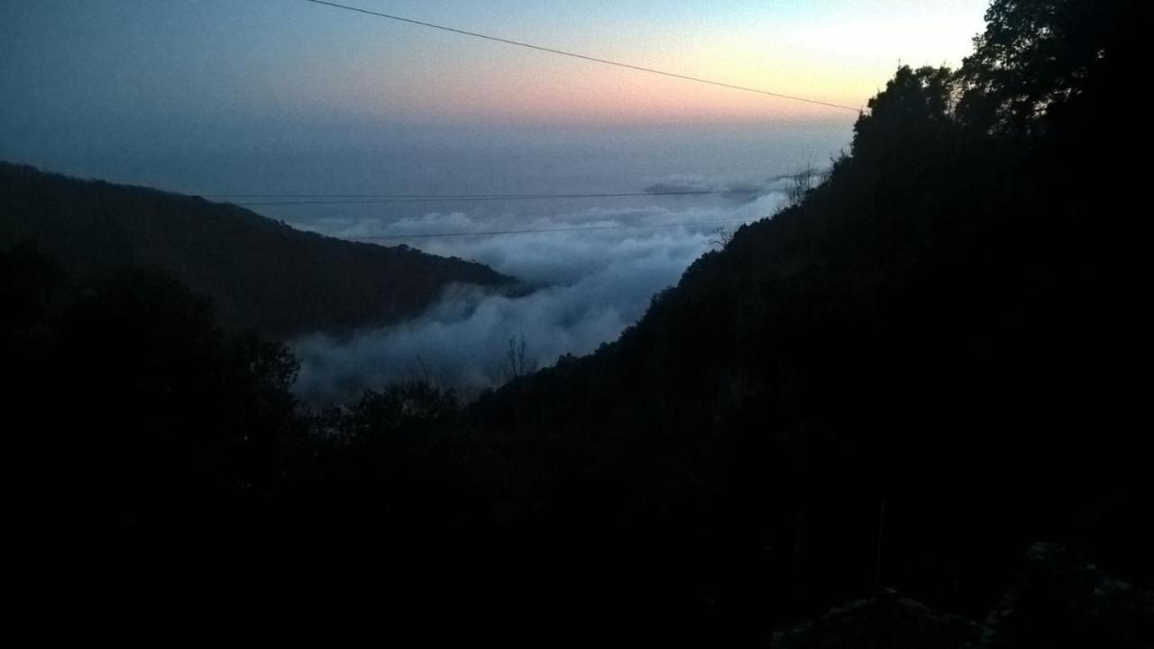 Hotel Montallegro Ραπάλο Εξωτερικό φωτογραφία